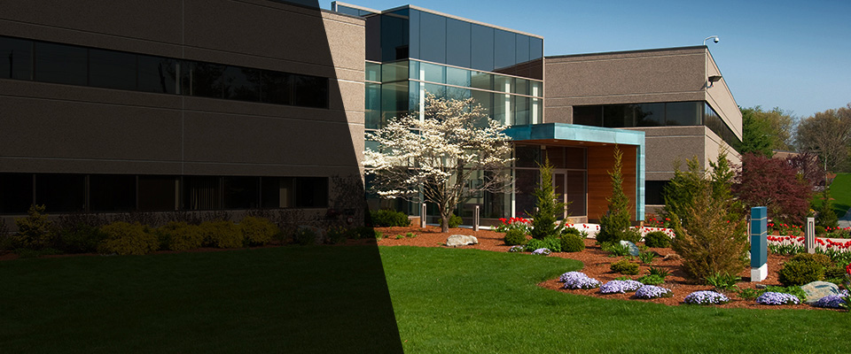 Glendale Heights Landscapers