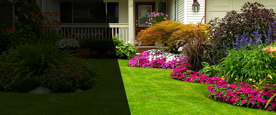 Glendale Heights Landscapers