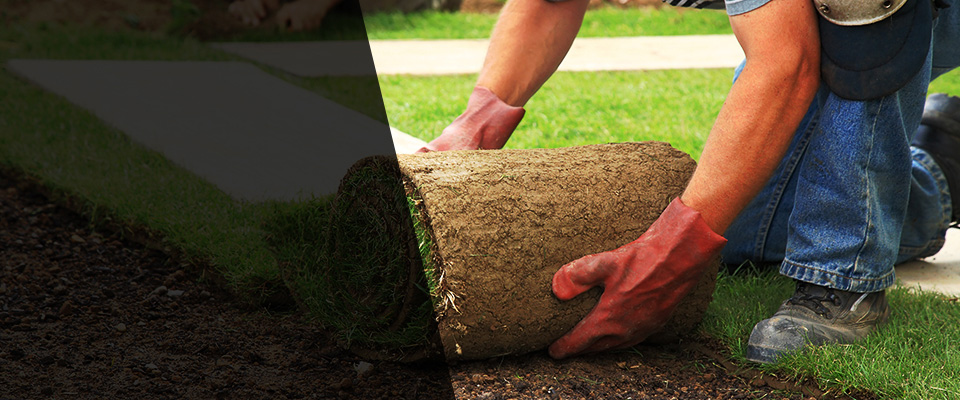 Glendale Heights Landscapers